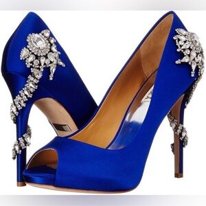 Like New ‘Royal’ Embellished Pump by Badgley Mischka
